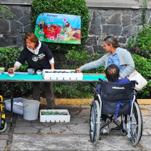 La inclusión de las personas con discapacidad es un reto para la sociedad. Foto: DLF