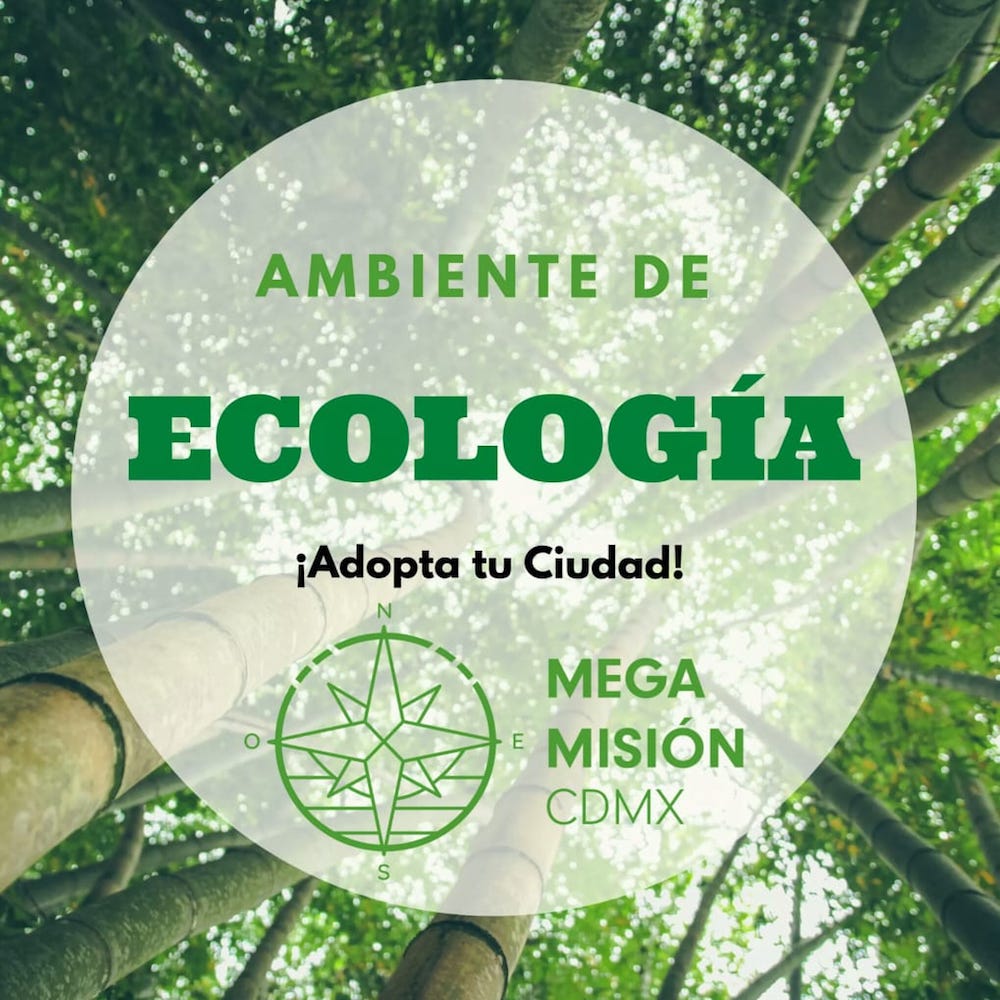 Ambiente de Ecología. Foto: Pastoral Ecológica