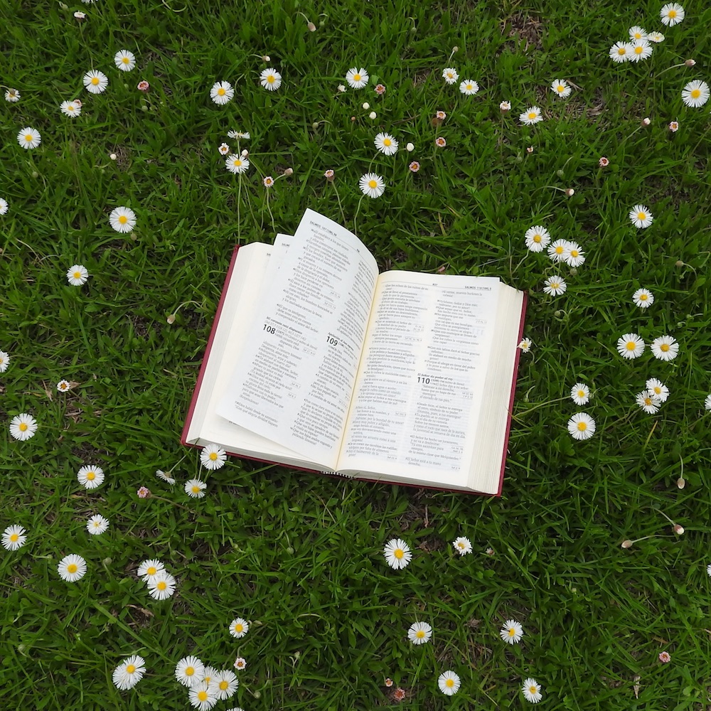 5 versículos de la Biblia que hablan sobre la Ecología. Foto: Cathopic