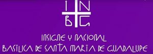 INBG logo
